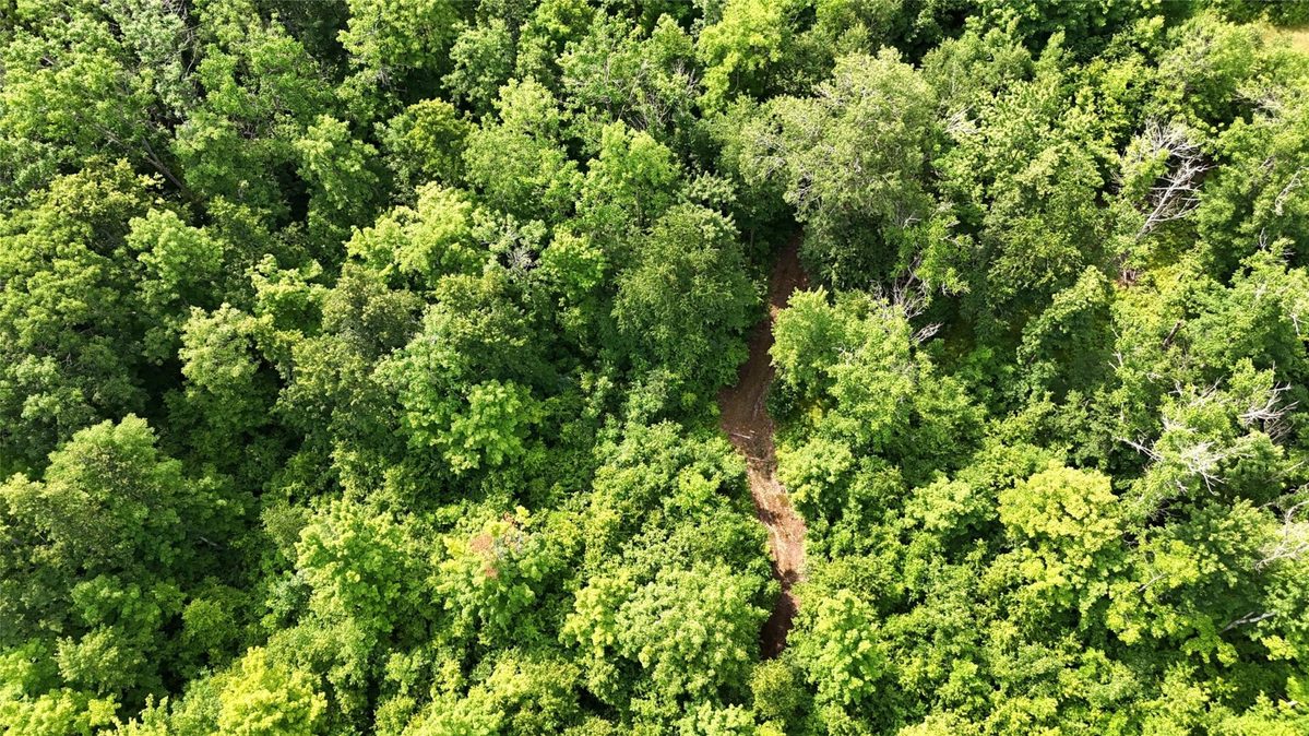XXX Eckel Lane, Couderay WI 54835 - Land house for sale - MLS #1603143 - image30