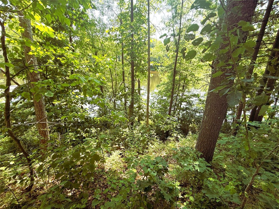 N3720 State Highway 40, Bruce WI 54819 - Land house for sale - MLS #1603658 - image8