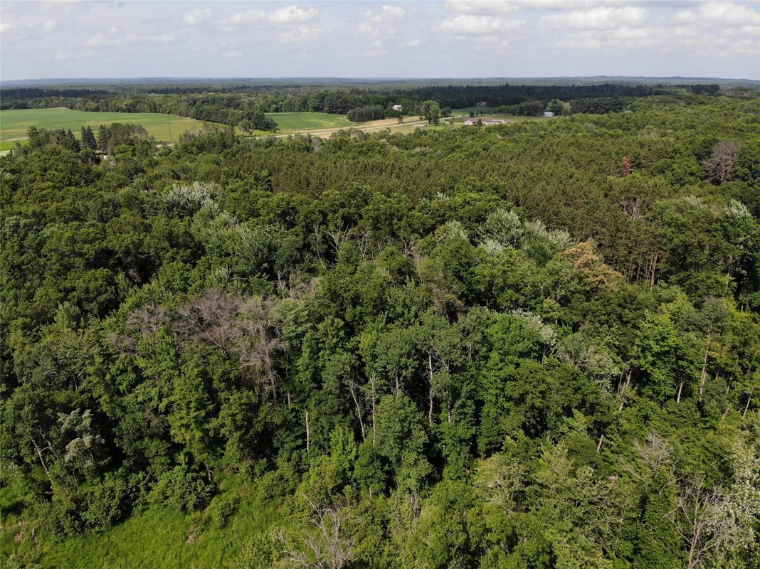 S11305 Kempton Road, Augusta WI 54722 - Land house for sale - MLS #1602723 - image22