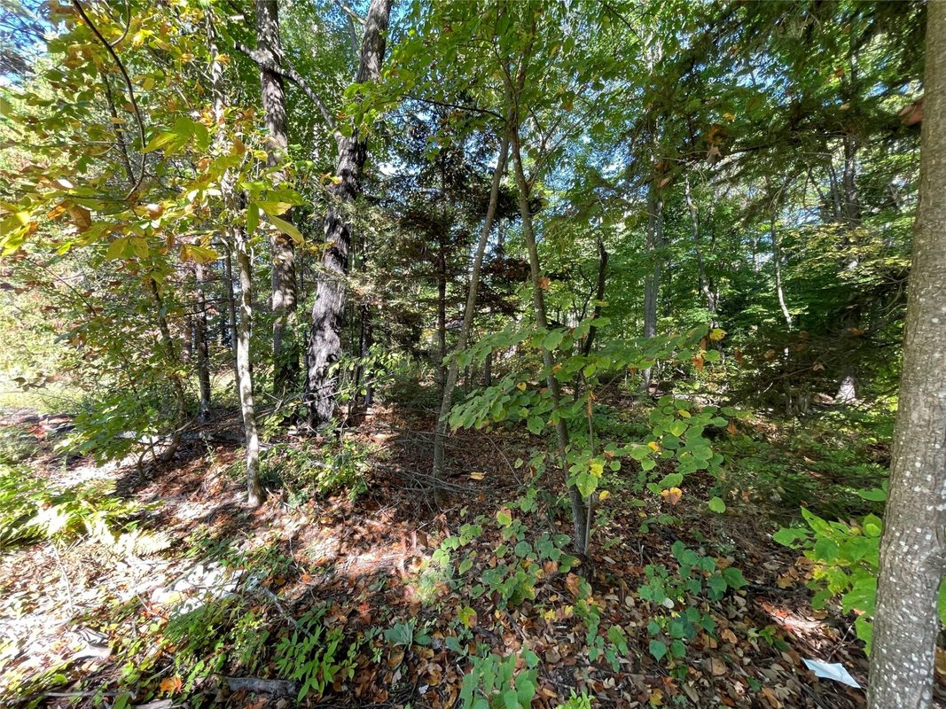 6073 Elsie Road, Stone Lake WI 54876 - Land house for sale - MLS #1602616 - image43