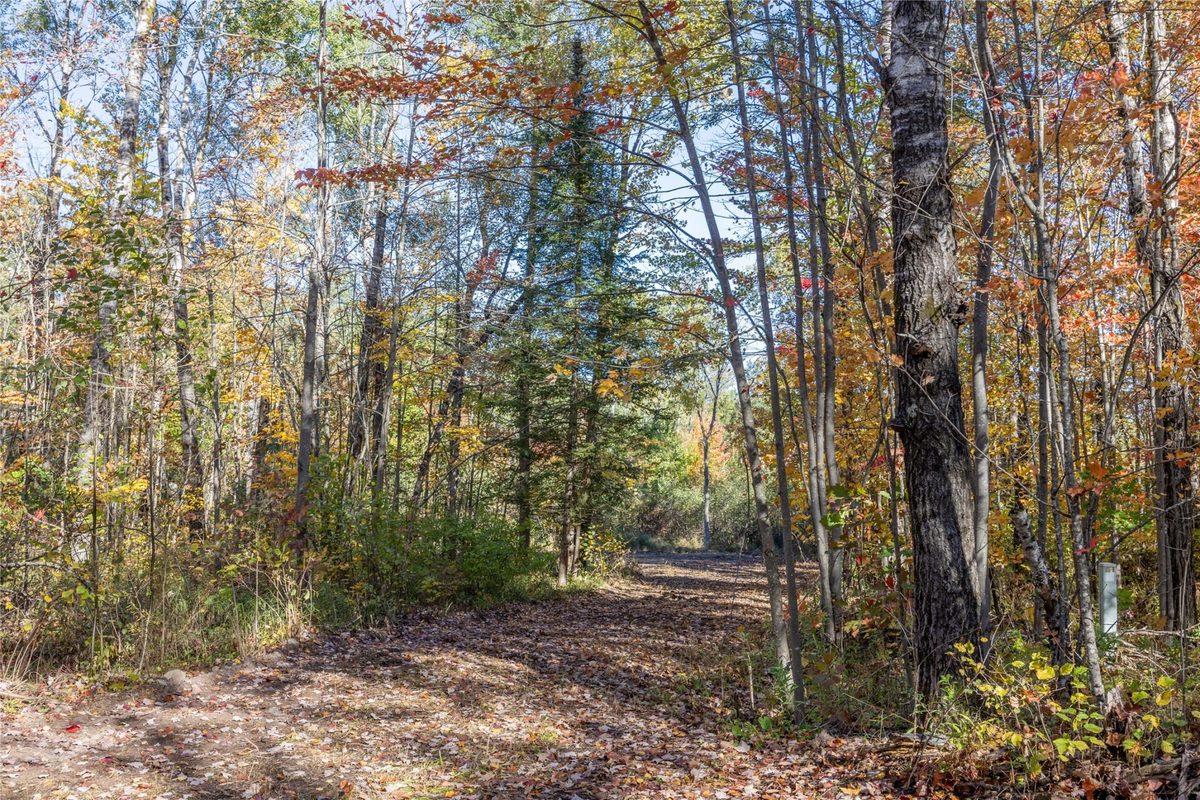 5 Acres Aggie Lane, Ladysmith WI 54848 - Land house for sale - MLS #1605699 - image7