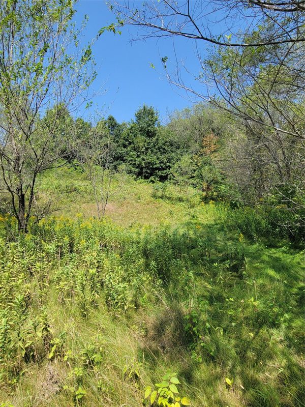 308 Arbor Hills Circle, Eau Claire WI 54703 - Land house for sale - MLS #1604405 - image4