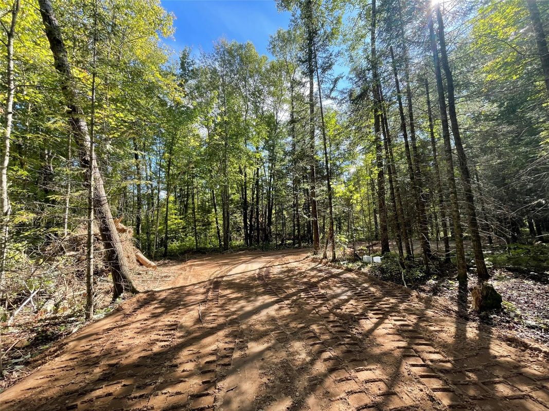 Lot 2 Fadness Road, Winter WI 54896 - Land house for sale - MLS #1605242 - image8