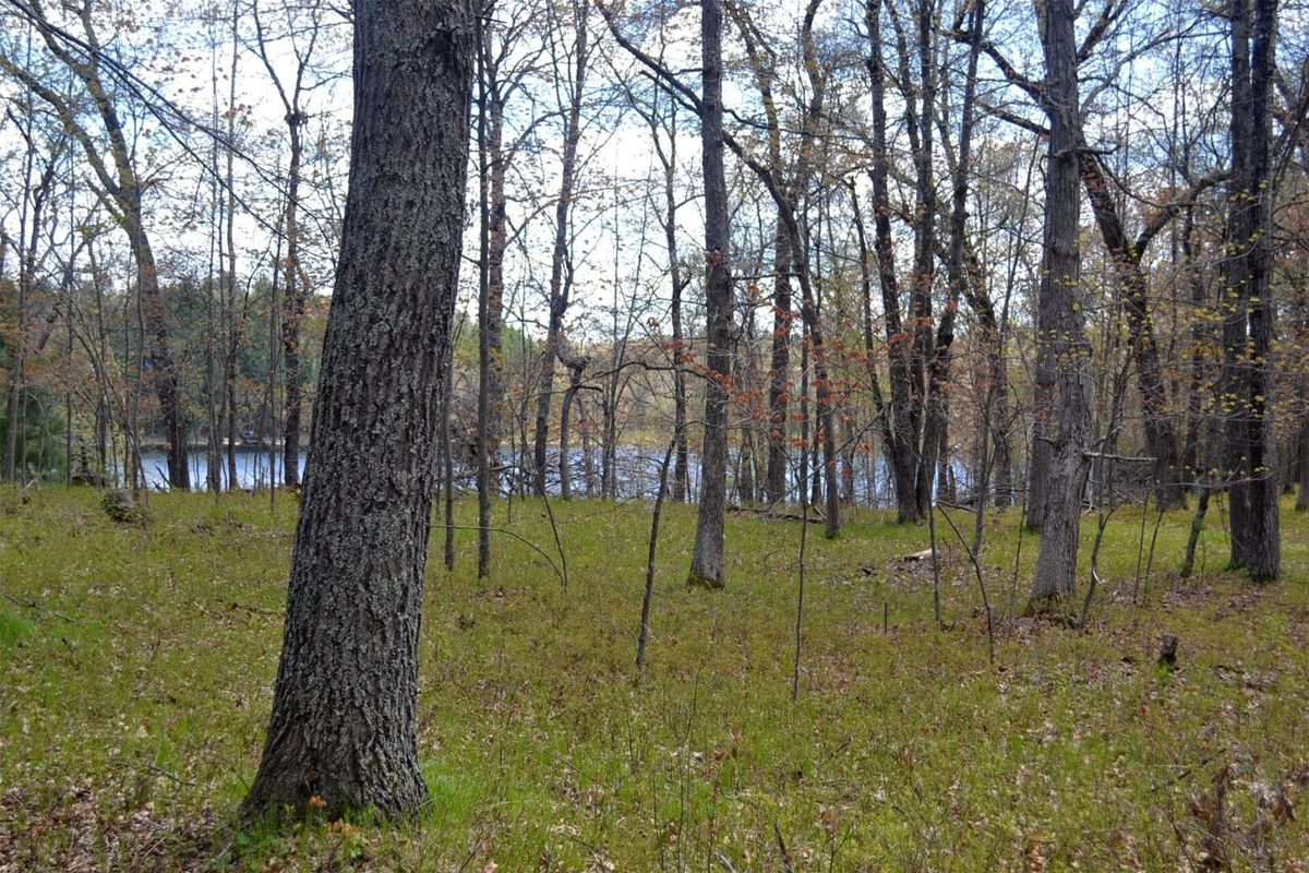 1391 Dock Lake Road, Spooner WI 54801 - Land house for sale - MLS #1601069 - image21