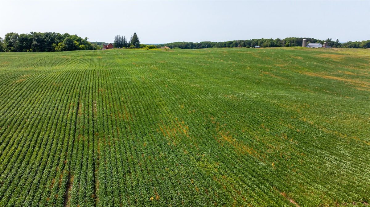 XXXX 190th Street, Centuria WI 54824 - Land house for sale - MLS #1605124 - image8