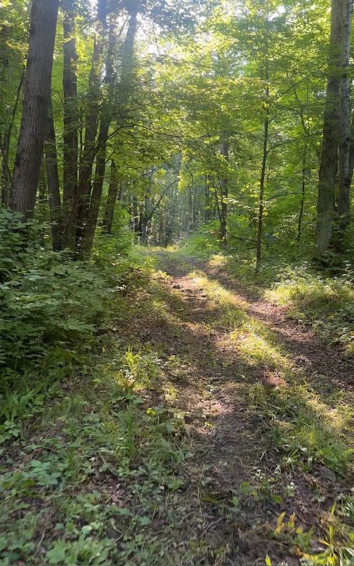 W5343 County Road X, Glen Flora WI 54526 - Land house for sale - MLS #1603306 - image23