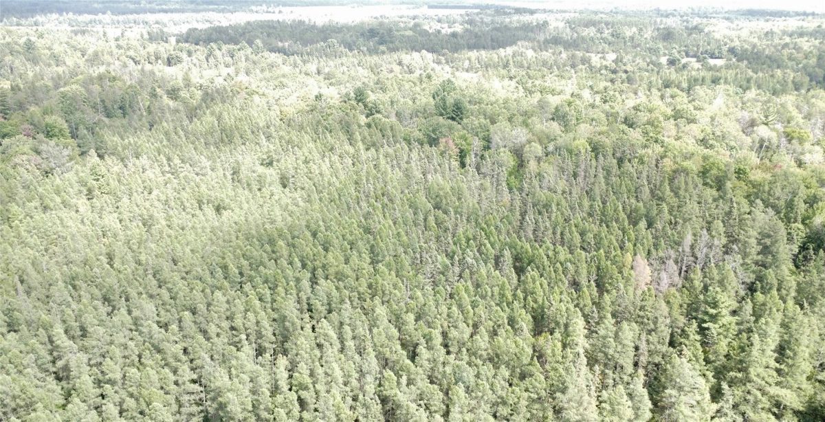 900 County Road A, Tomahawk WI 54487 - Land house for sale - MLS #1604619 - image49