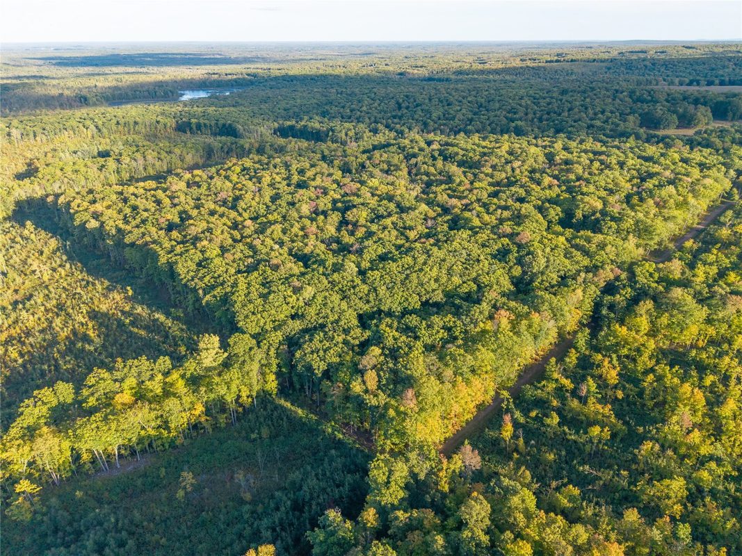 38.2 Acres Vierck Lane, Exeland WI 54835 - Land house for sale - MLS #1605286 - image4