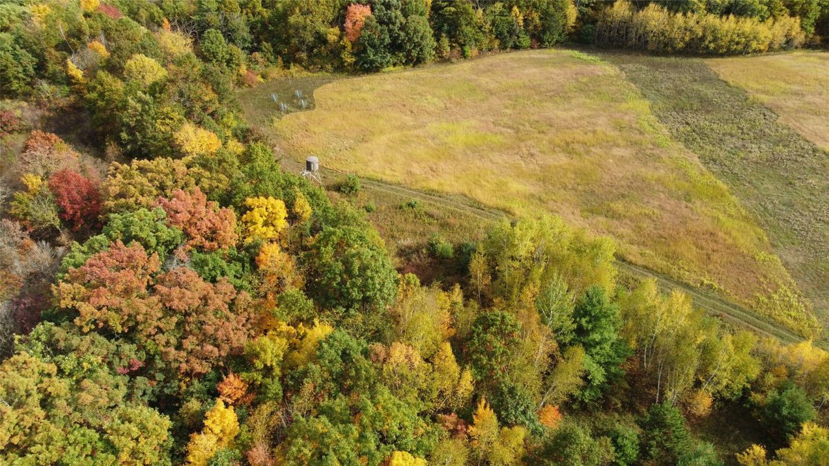 3461 56th, Frederic WI 54837 - Land house for sale - MLS #1605729 - image6