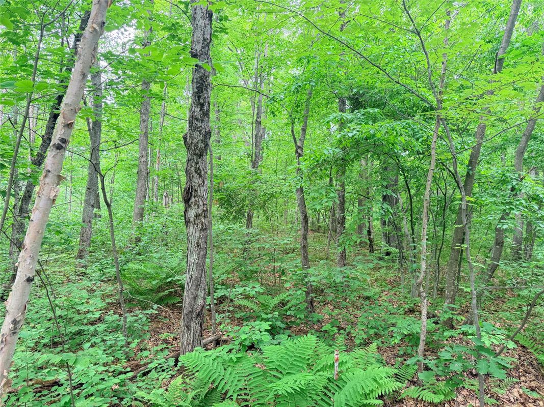 0 Schultz Lane, Stone Lake WI 54876 - Land house for sale - MLS #1601955 - image14