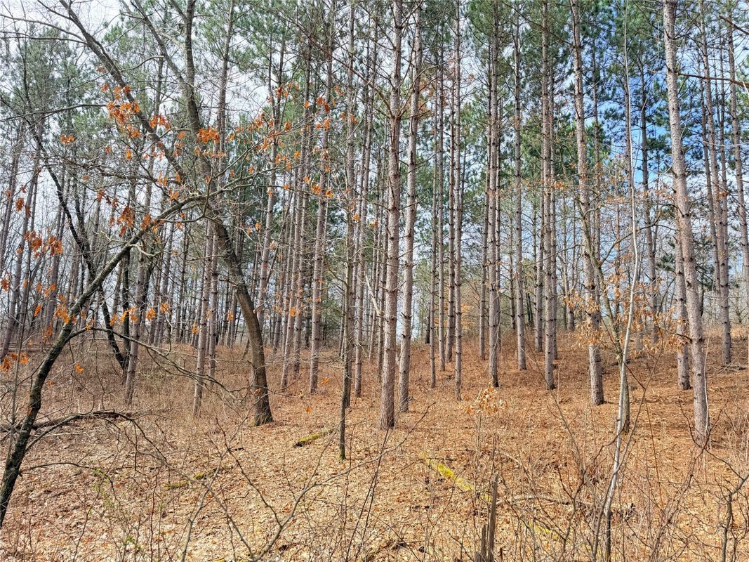 Lot 3 Big Lake Drive, Osceola WI 54020 - Land house for sale - MLS #1599897 - image17