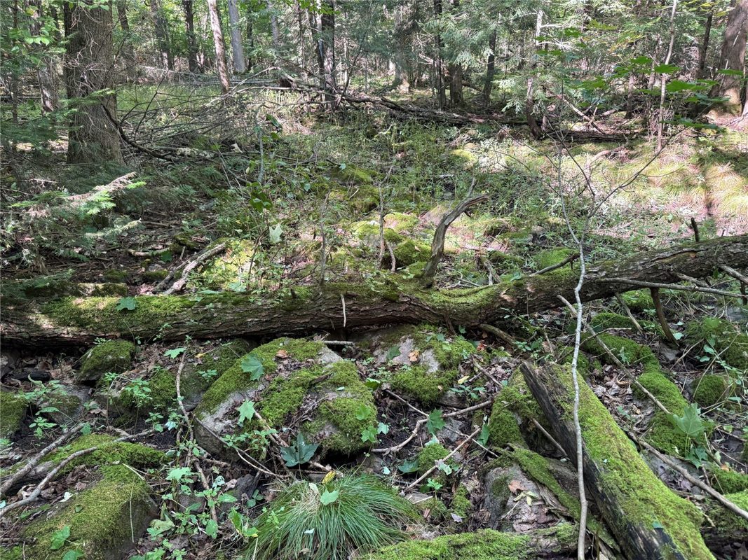 OOO County Road L, Merrill WI 54452 - Land house for sale - MLS #1605059 - image14