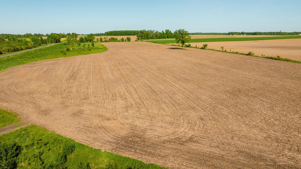 0 Nyes Road, Stanley WI 54768 - Land house for sale - MLS #1601802 - image22