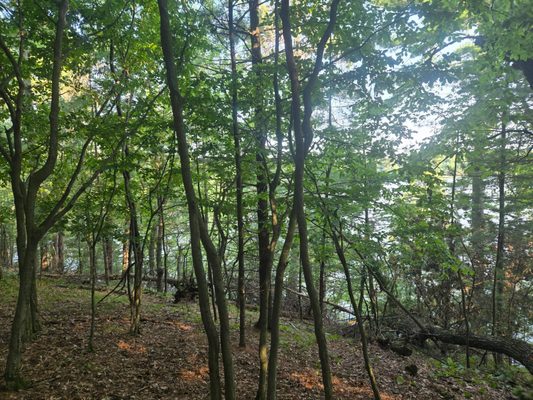 Lot 2 75th Avenue Chippewa Falls WI 54729