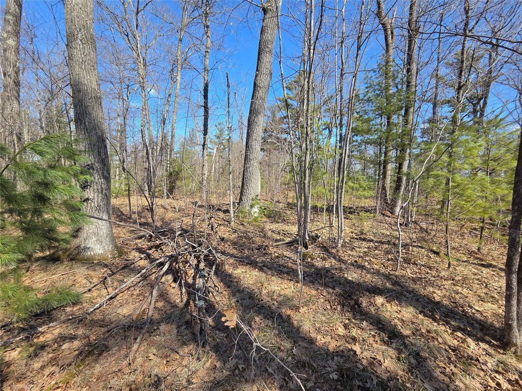Lot 1 W South Shore Rd Hayward WI 54843 — photo 16
