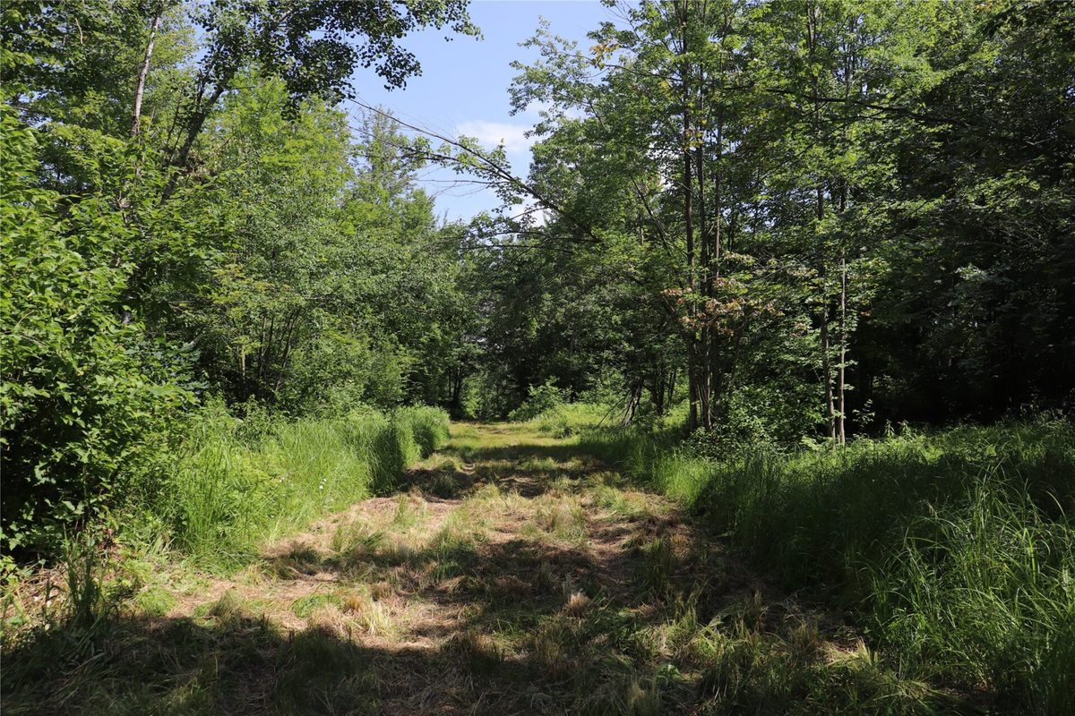 S11305 Kempton Road, Augusta WI 54722 - Land house for sale - MLS #1602723 - image55