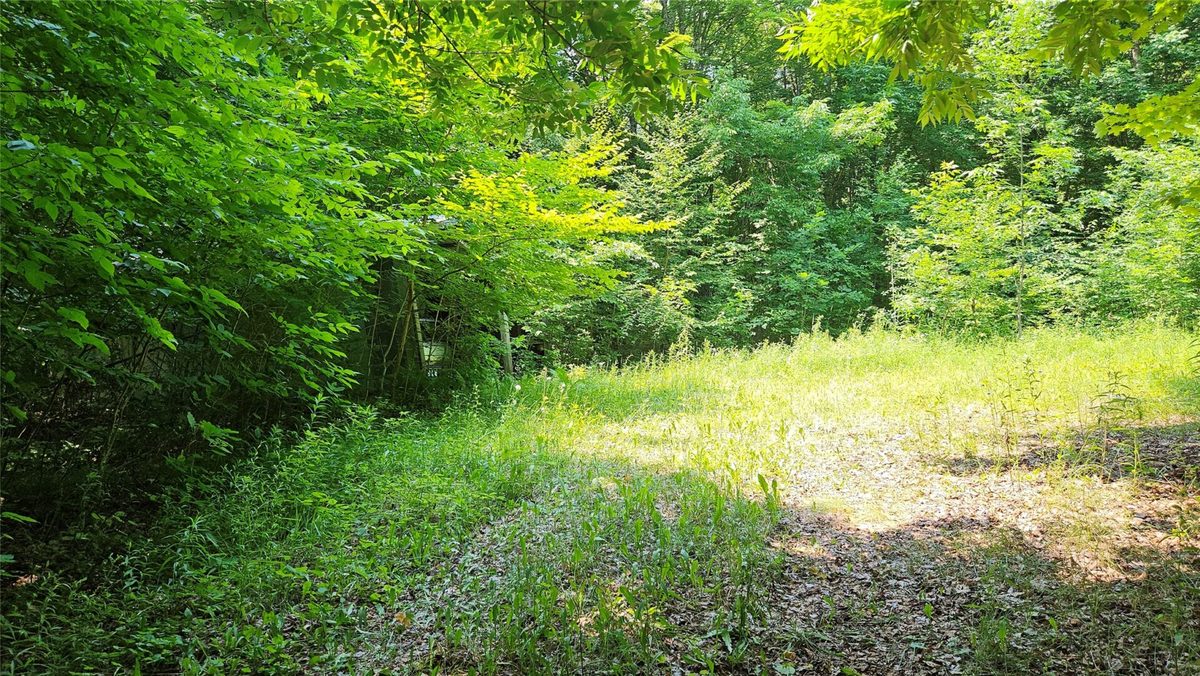 4687 Valesh Road, Couderay WI 54828 - Land house for sale - MLS #1602810 - image9