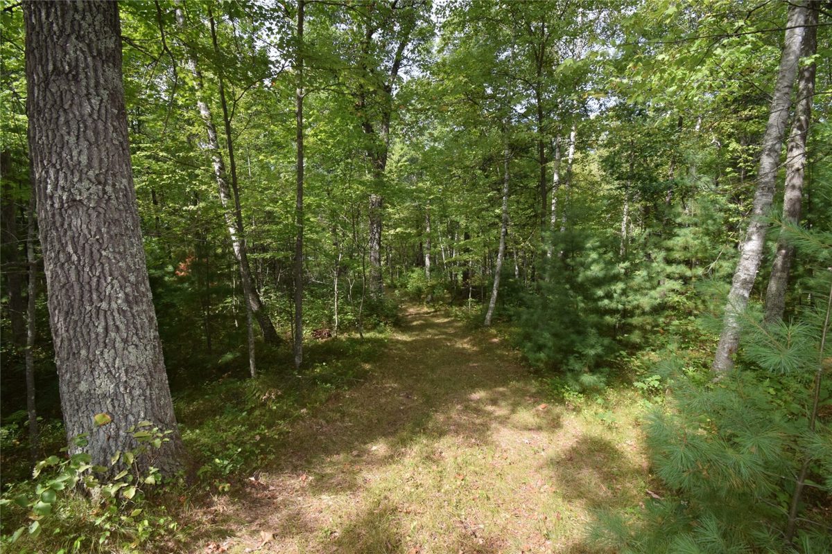 28206 Pardun Road, Danbury WI 54830 - Land house for sale - MLS #1604938 - image33