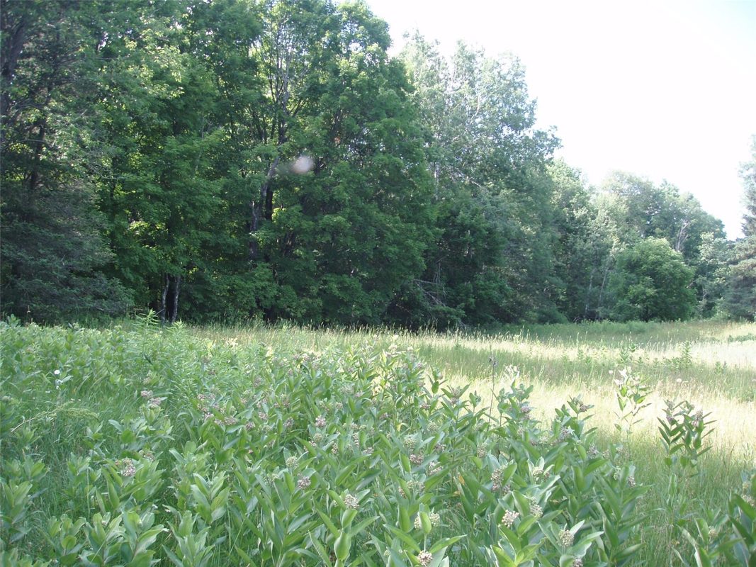 2460N County Highway FF, Butternut WI 54514 - Residential house for sale - MLS #1602950 - image33