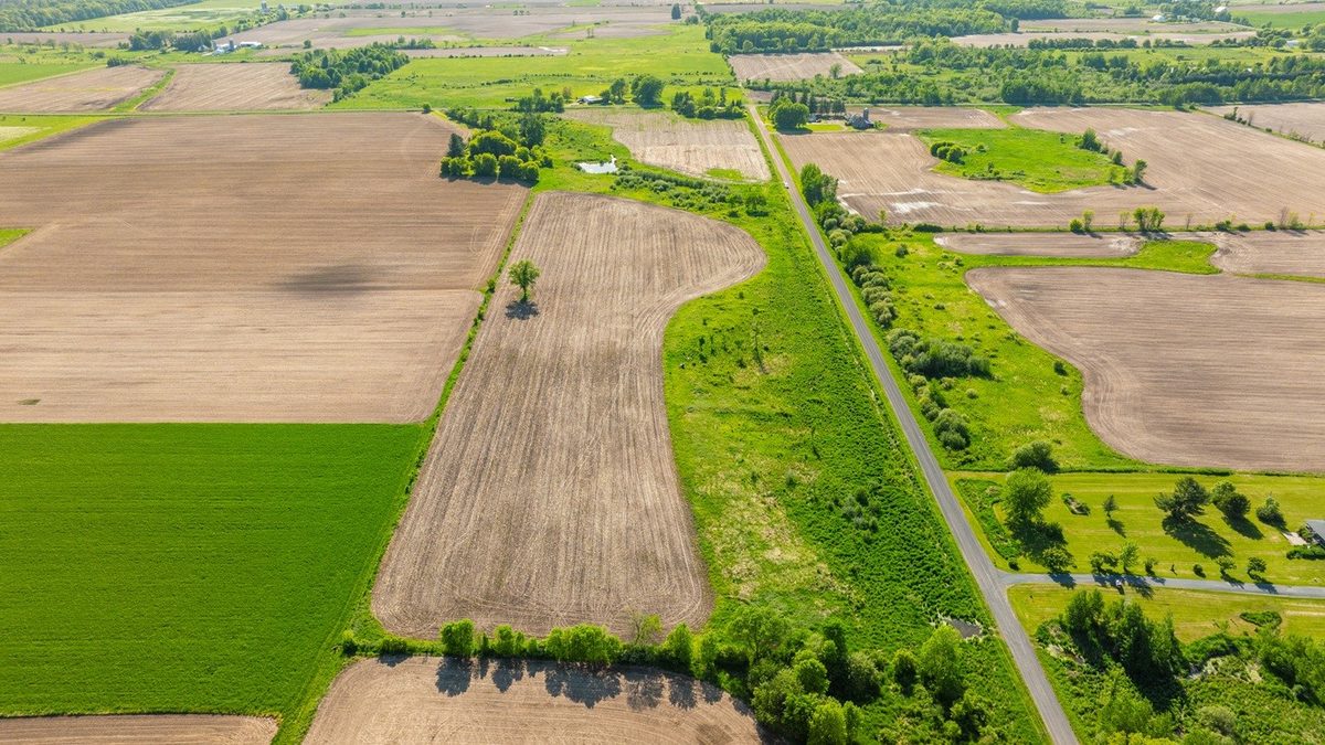 0 Nyes Road, Stanley WI 54768 - Land house for sale - MLS #1601802 - image5