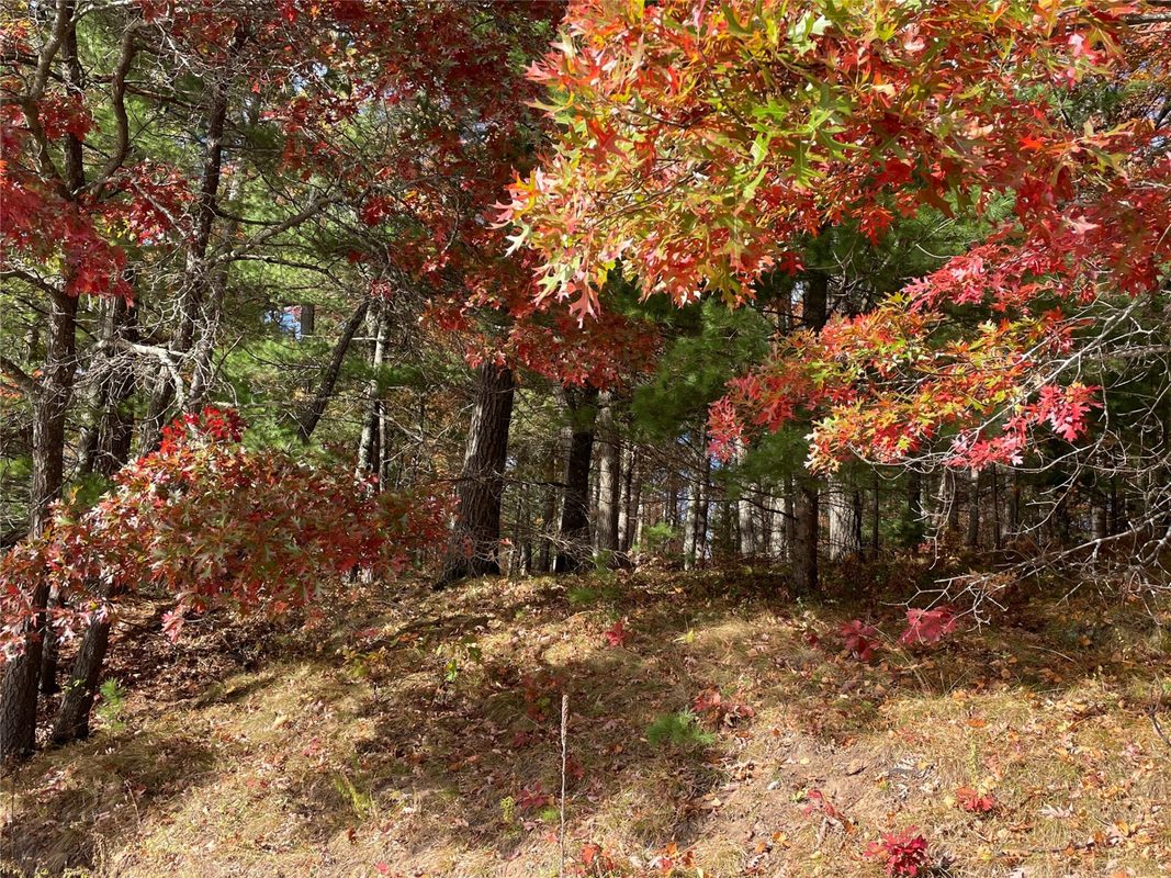 7 W Tanager Trail, Hayward, WI — photo 6