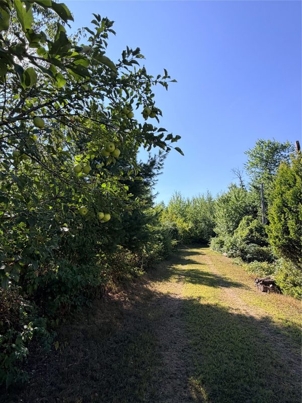 2474 11th Avenue, Cameron WI 54822 - Land house for sale - MLS #1604440 - image32