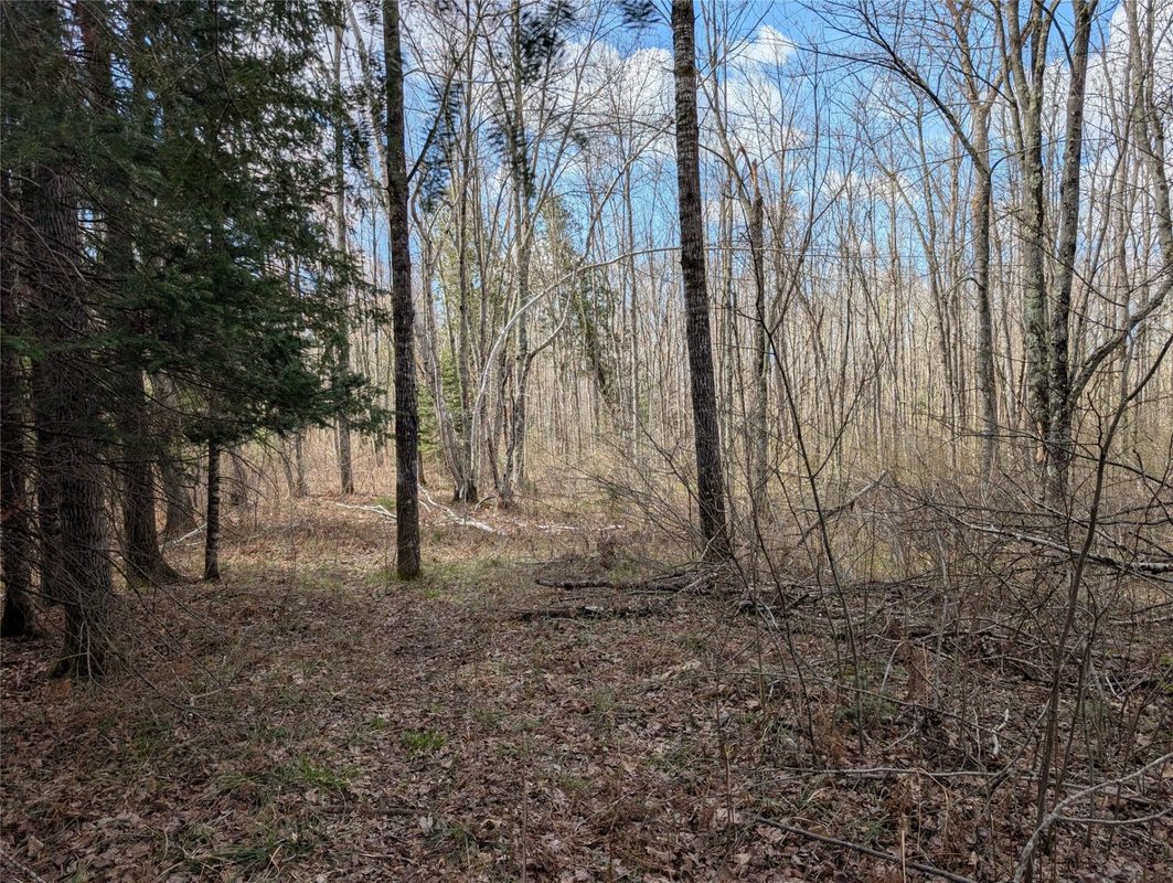 15138 Crotte Brook Trail, Danbury WI 54830 - Residential house for sale - MLS #1600976 - image52