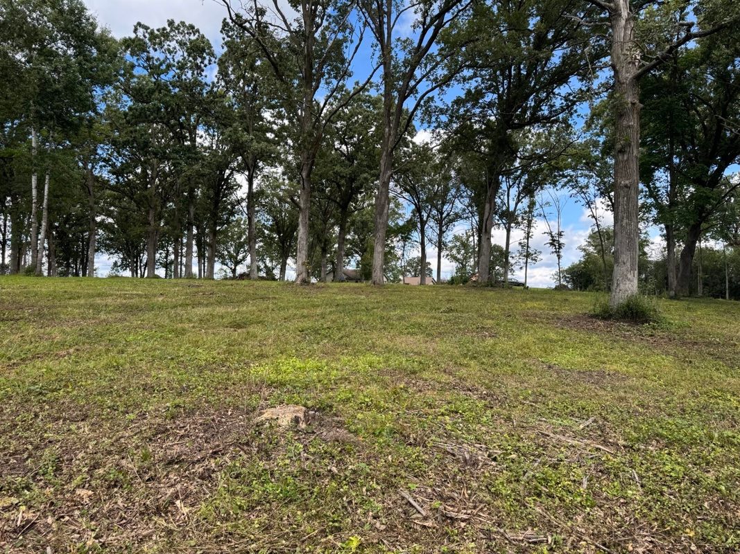 Lot 28 21st Street, Rice Lake WI 54868 - Land house for sale - MLS #1603229 - image10