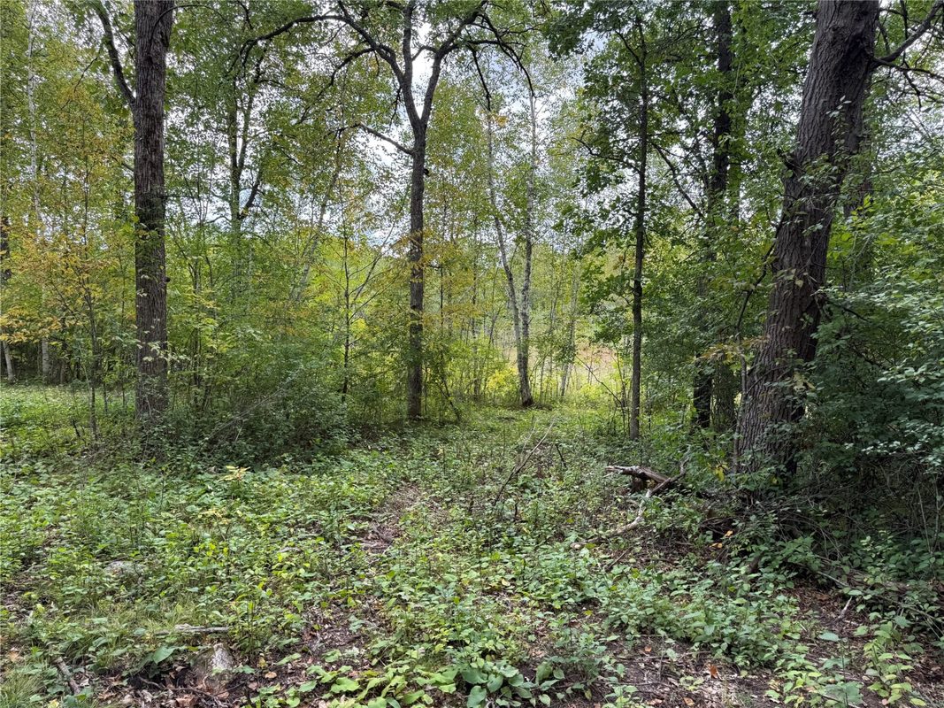 XXX 23 1/2 Street, Rice Lake WI 54868 - Land house for sale - MLS #1605312 - image11