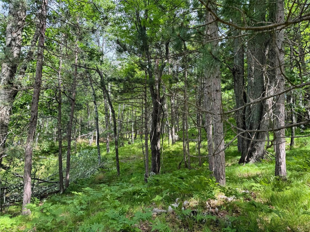 11149 Merganser Lane, Hayward WI 54843 - Land house for sale - MLS #1604672 - image38