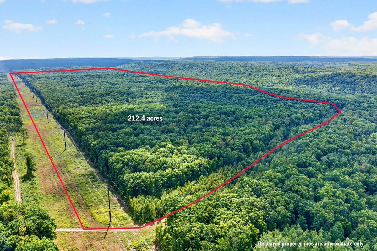 Block 2 Comet Road, Exeland WI 54835 - Land house for sale - MLS #1597542 - image20