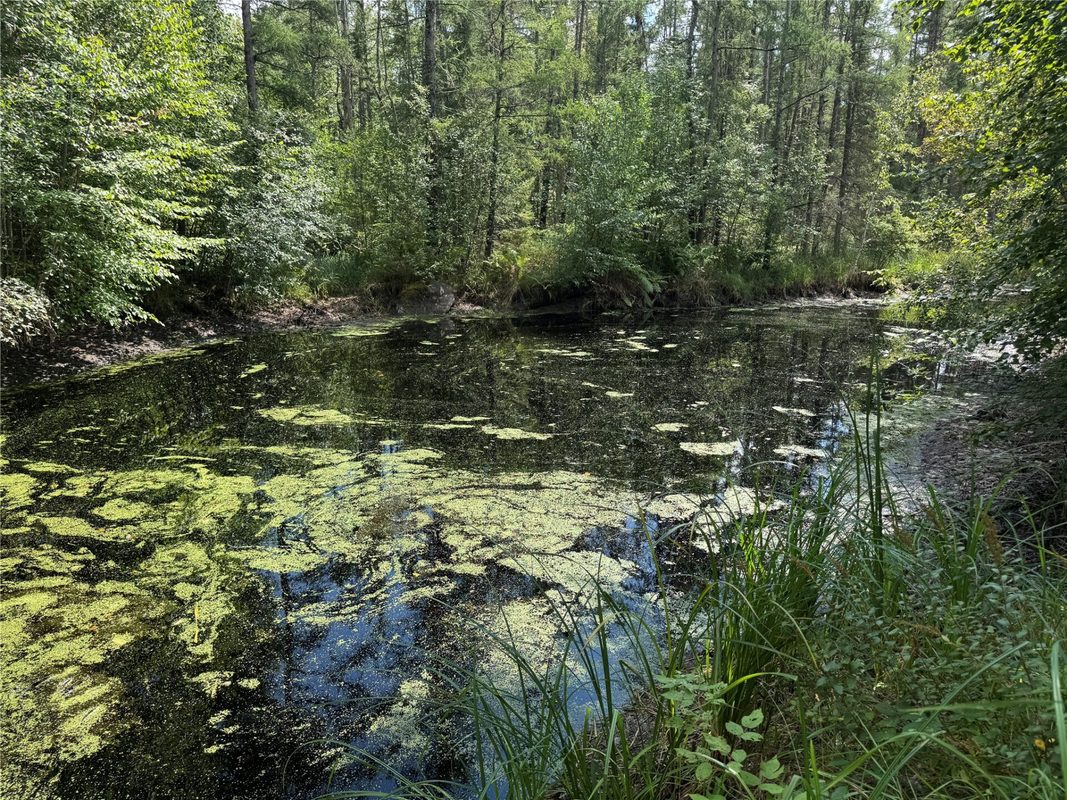 900 County Road A, Tomahawk WI 54487 - Land house for sale - MLS #1604619 - image19