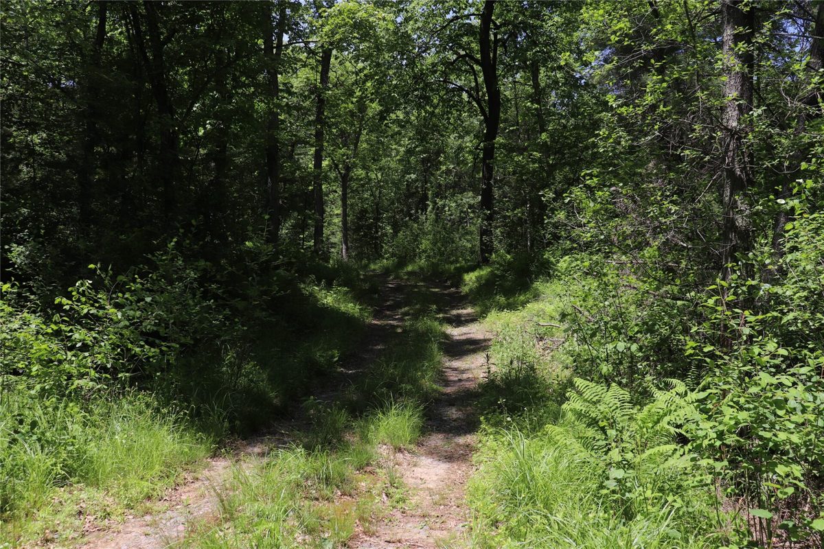 N7280 Waters Edge Road, Black River Falls WI 54615 - Residential house for sale - MLS #1601969 - image35