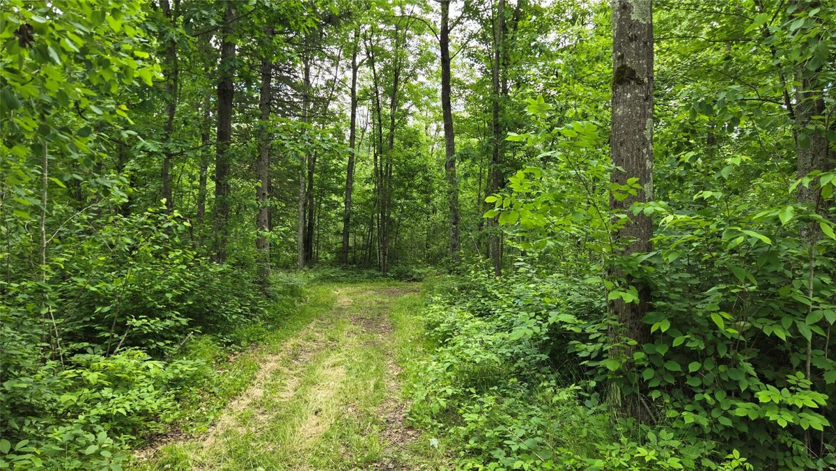 W11680 Jenness Road, Bruce WI 54819 - Residential house for sale - MLS #1602596 - image43