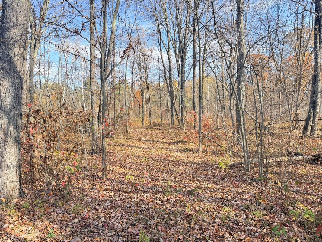 0 County Highway C, Rice Lake WI 54868 - Land house for sale - MLS #1605929 - image34