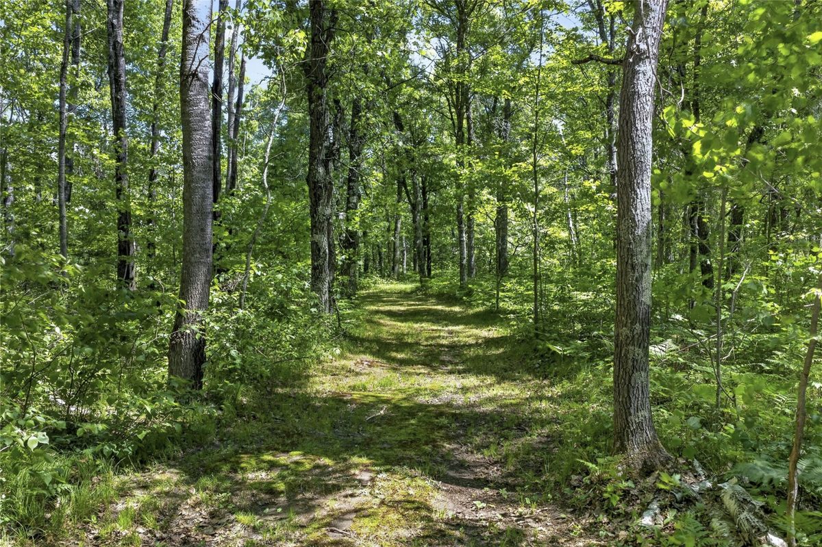 12235 Crooked Lake Road, Gordon WI 54838 - Residential house for sale - MLS #1600883 - image38
