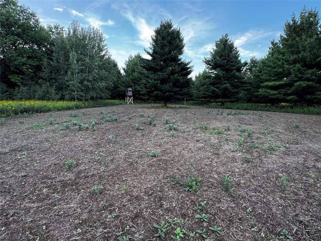 00 340th Avenue, Lewis WI 54837 - Land house for sale - MLS #1604783 - image26