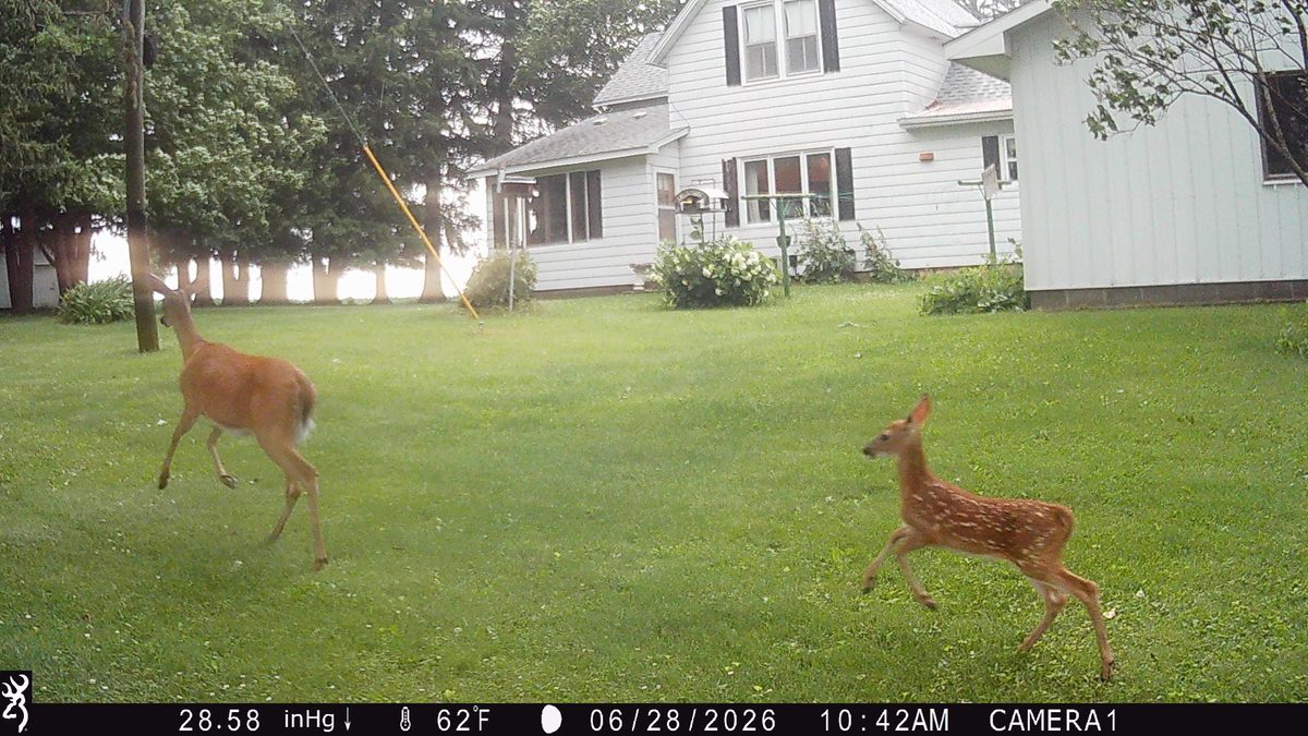 N3236 Nelson Road, Stockholm, WI
