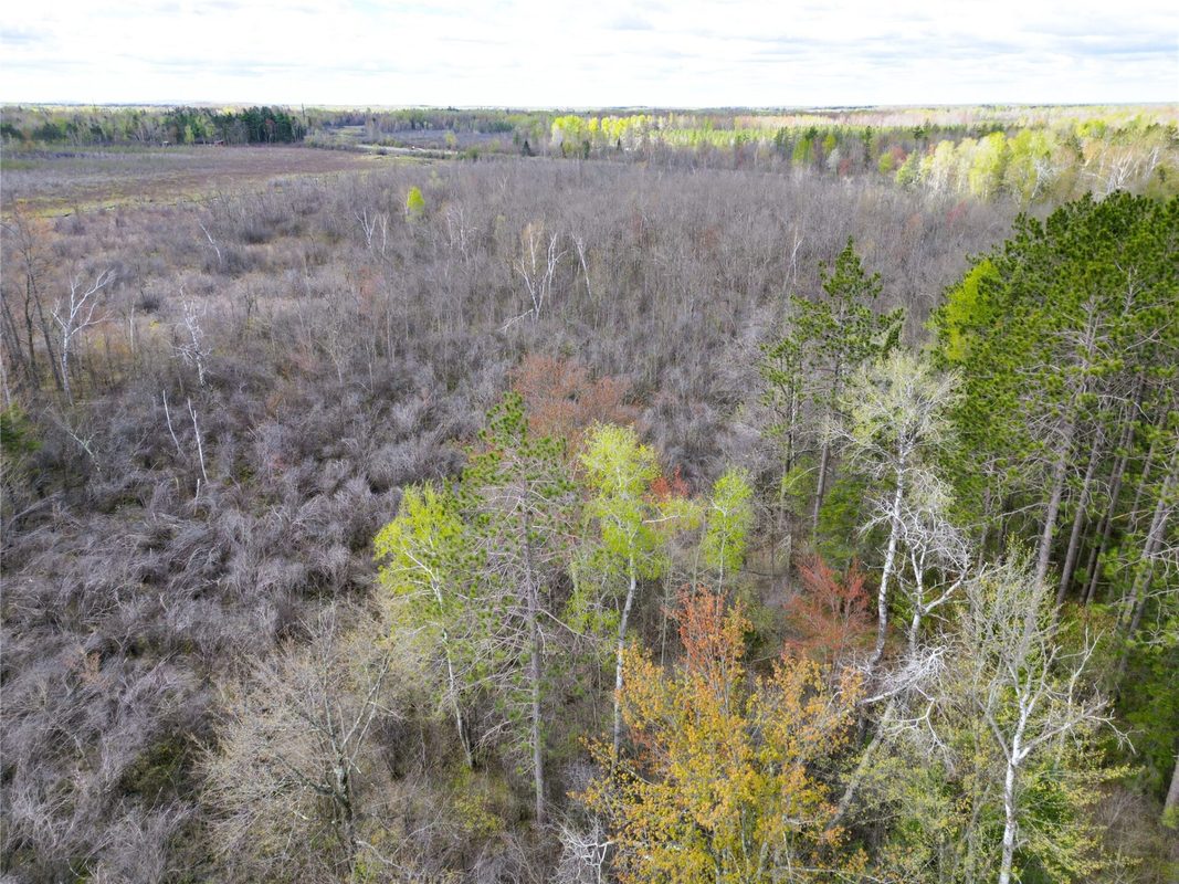 36.5 Acres E Cedarbrook Road, Ladysmith WI 54848 - Land house for sale - MLS #1601172 - image8