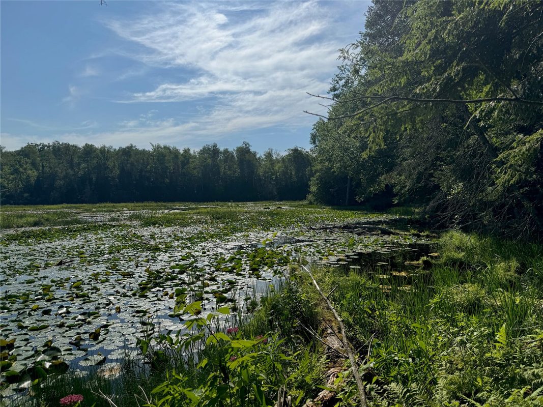 Lot 8 Crane Lane, Hayward WI 54843 - Land house for sale - MLS #1603375 - image22