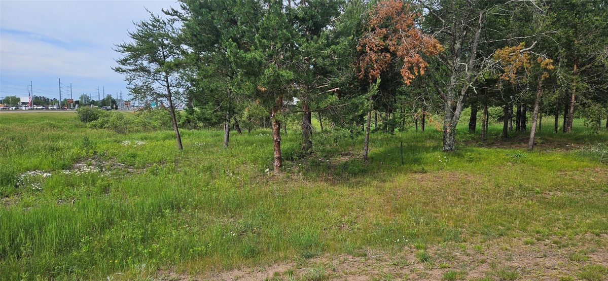 Lot A Windrose Lane, Hayward WI 54843 - Land house for sale - MLS #1602934 - image5