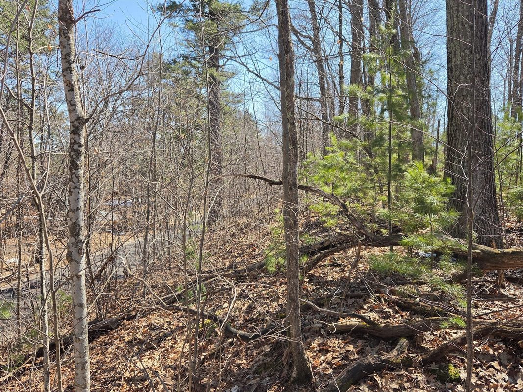 Lot 1 W South Shore Rd Hayward WI 54843 — photo 26