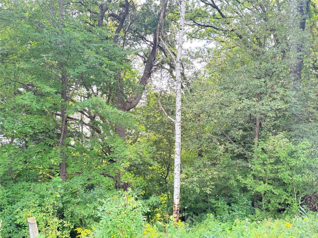 10 Acres Lot 4 230th Street, St Croix Falls WI 54024 - Land house for sale - MLS #1606210 - image11