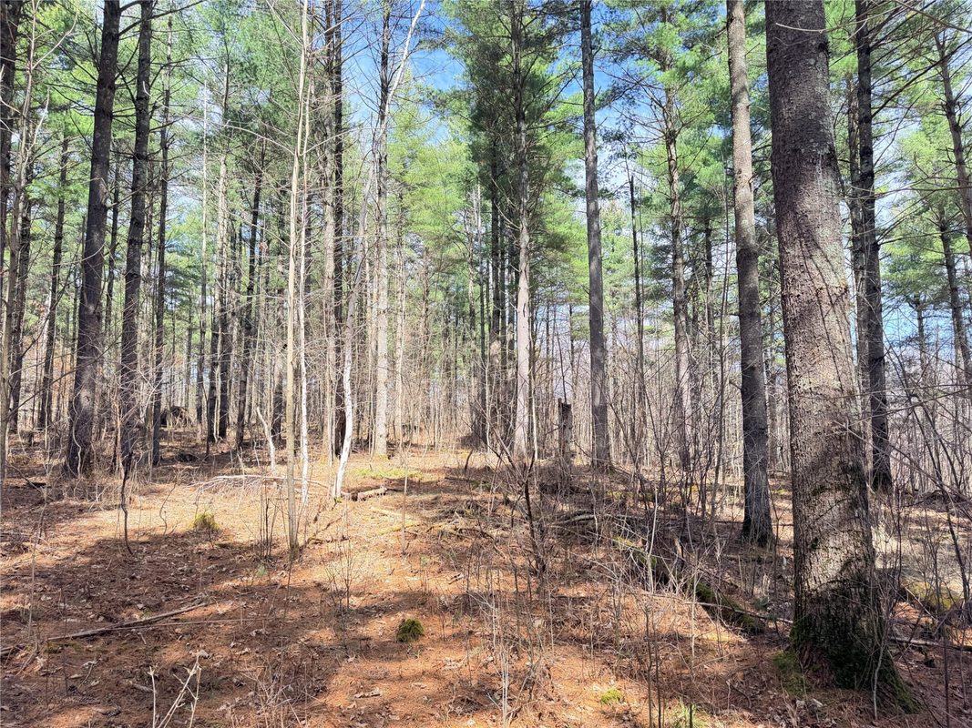 20 Acres Star Lake Road, Rice Lake, WI — photo 34
