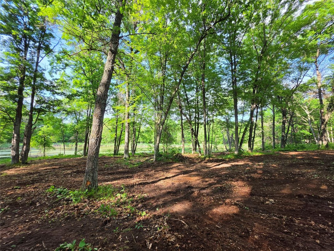 27646 295th (Lot 14) Avenue, Holcombe WI 54745 - Land house for sale - MLS #1602155 - image8