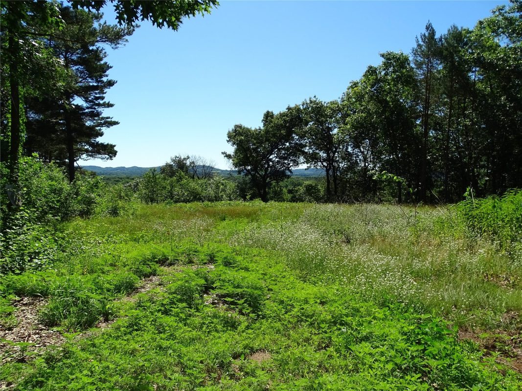 N4916 County Road, Arkansaw WI 54721 - Land house for sale - MLS #1602573 - image1