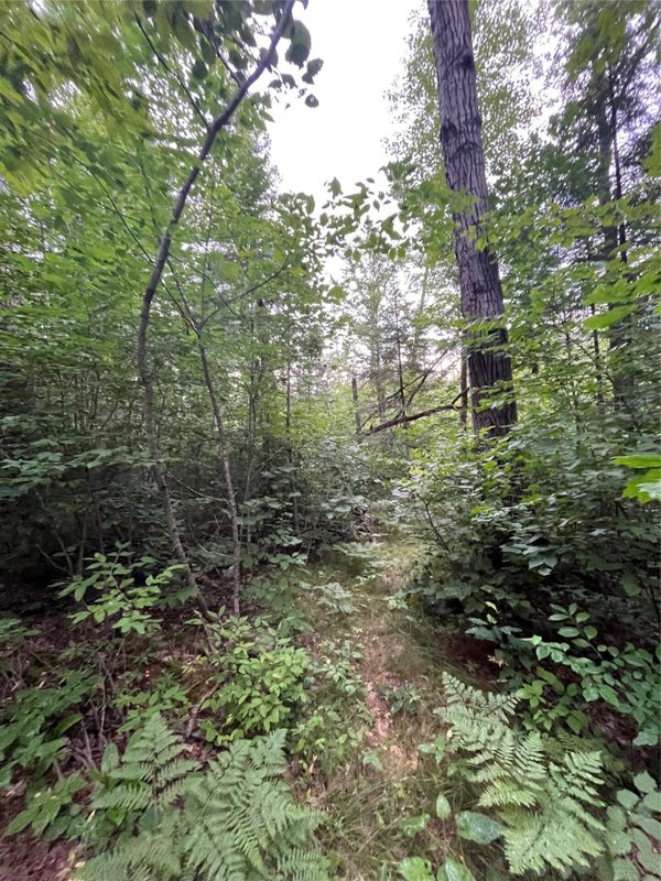 16876 Southview Trail, Stone Lake WI 54876 - Land house for sale - MLS #1599724 - image15
