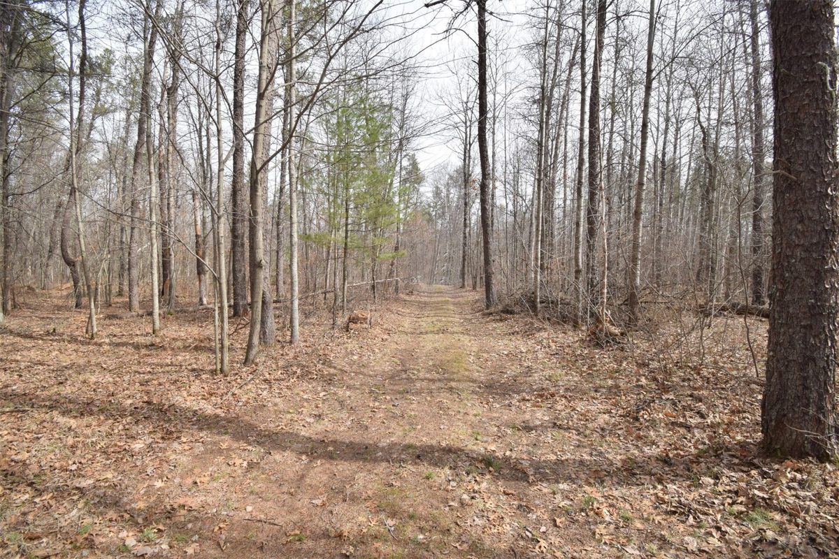 9274 Black Brook Road Webster WI 54893 — photo 28