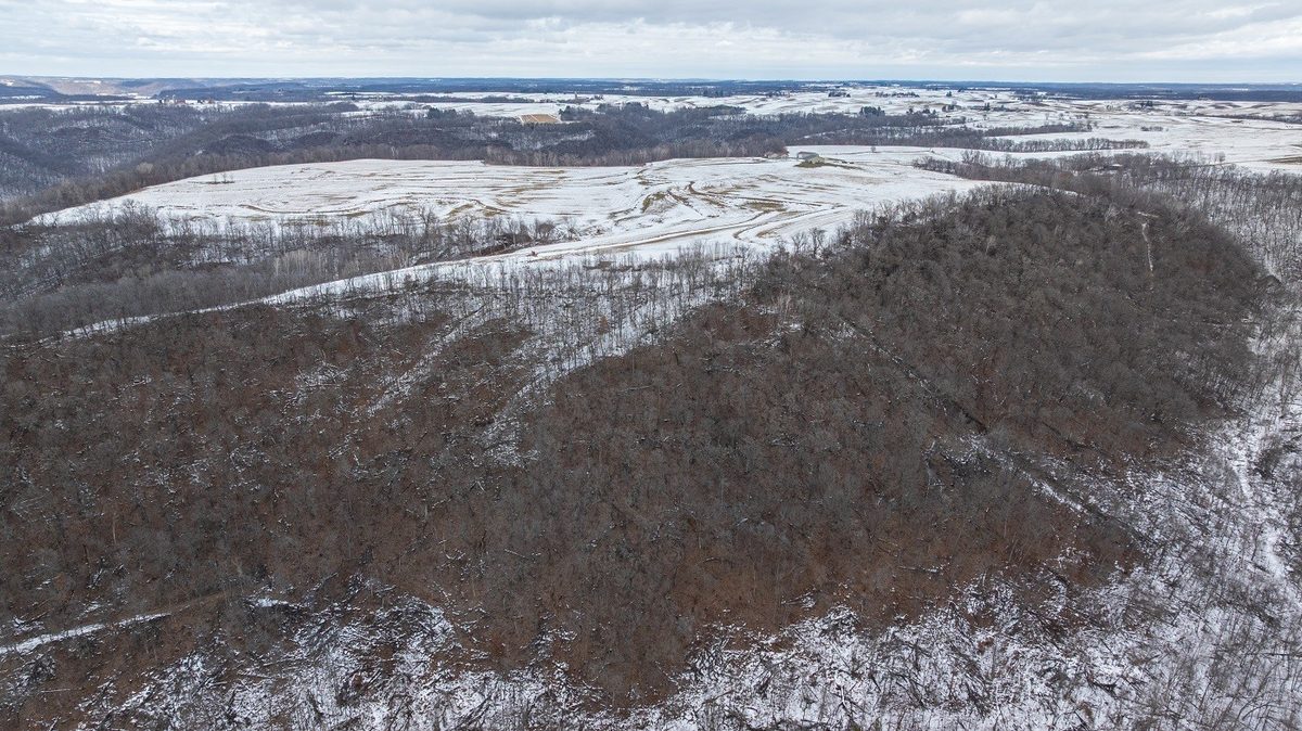 0 Maplewood Lane Alma WI 54610 — photo 4
