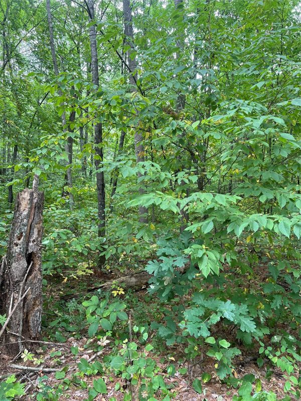 3801 Gaslyn Road, Webster WI 54893 - Residential house for sale - MLS #1604239 - image24